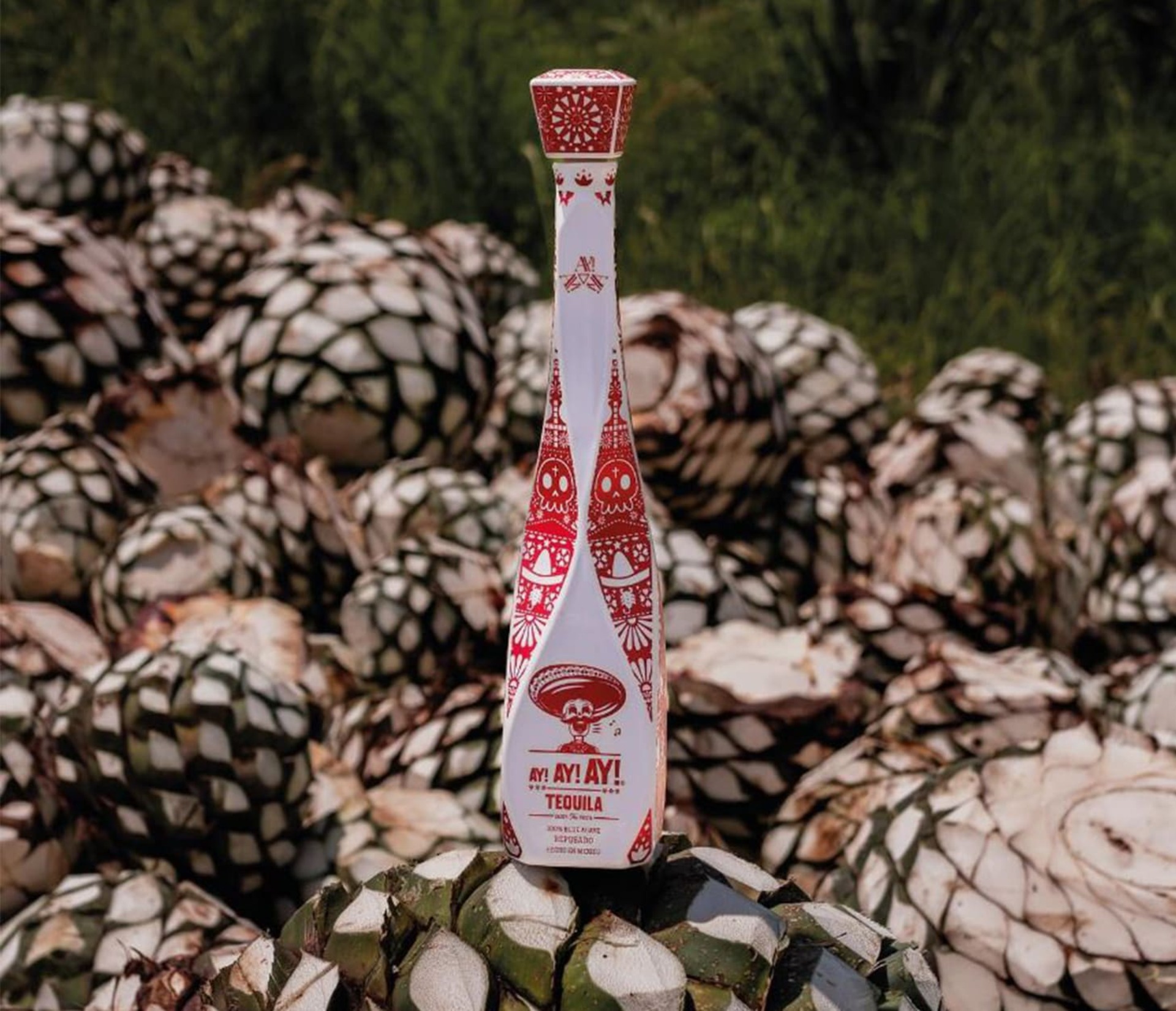 AY! AY! AY! Tequila brand photo 5